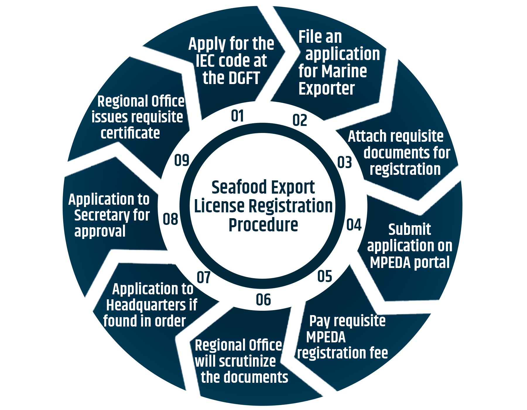 Process for online mpeda registration in India